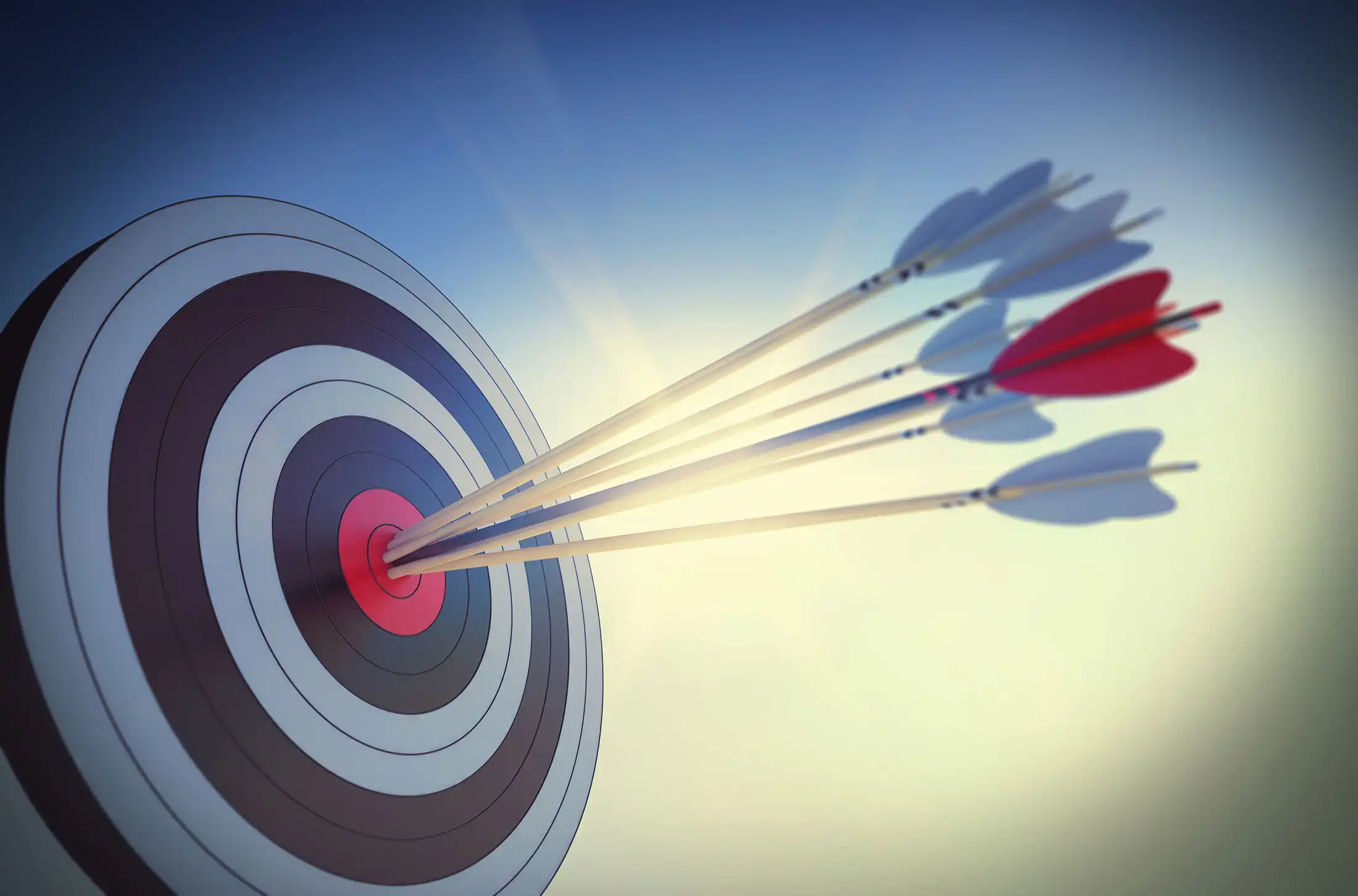 Target hit by arrows